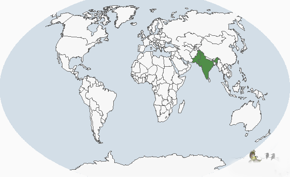 印度歌百靈分布圖