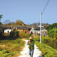 甲山村(雲南省昌寧縣田園鎮下轄村) 甲山村(雲南省昌寧縣田園鎮下轄村)