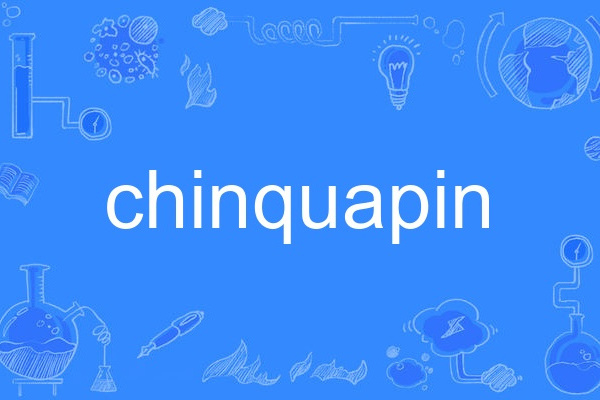 chinquapin chinquapin