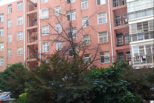 建新花園 建新花園