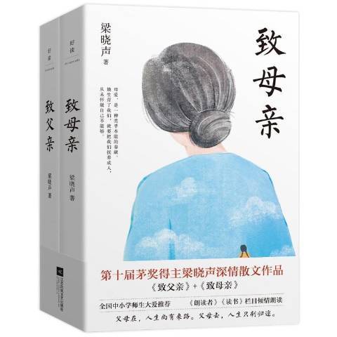 致母親(2022年江蘇鳳凰文藝出版社出版的圖書) 致母親(2022年江蘇鳳凰文藝出版社出版的圖書)