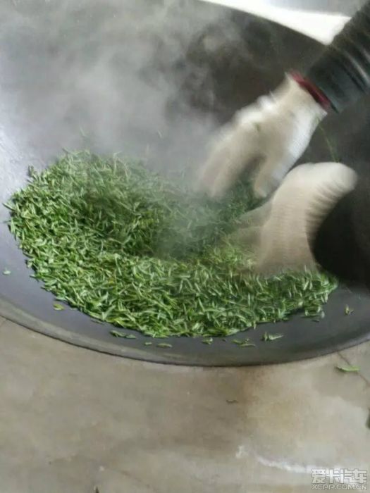 殺青度 殺青度