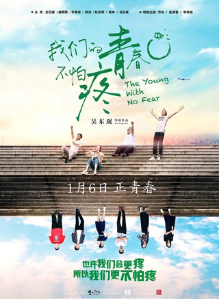 曲桐雨 曲桐雨