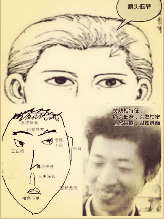 頭尖額窄 頭尖額窄
