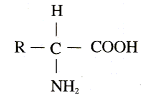 胺基酸結構通式
