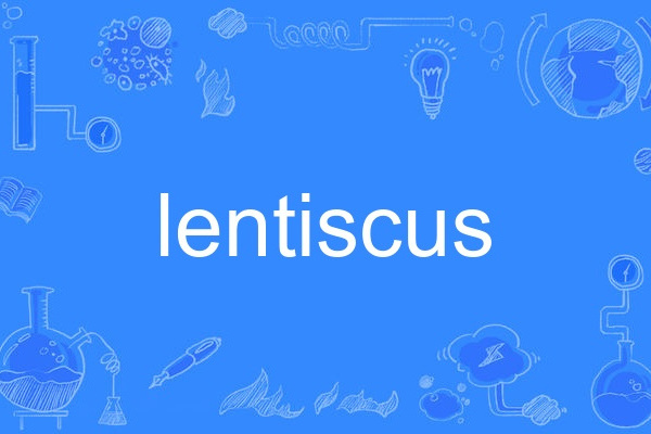 lentiscus lentiscus