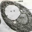 生物飼料 生物飼料