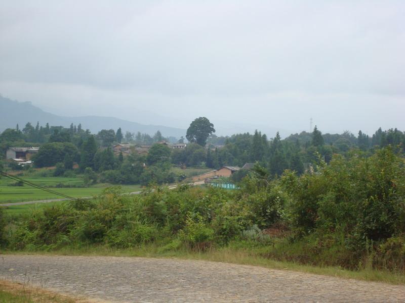 東么中村 東么中村