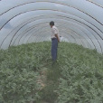 雷屯村(遼寧省鞍山市台安縣新開河鎮下轄村) 雷屯村(遼寧省鞍山市台安縣新開河鎮下轄村)