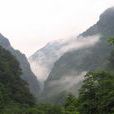 金佛山風景區 金佛山風景區
