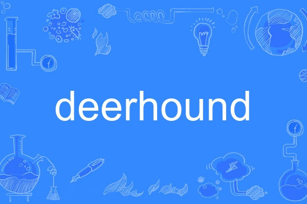 deerhound deerhound