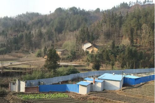 槐樹壩(陝西省漢中市城固縣二里鎮雙龍村下轄地點) 槐樹壩(陝西省漢中市城固縣二里鎮雙龍村下轄地點)