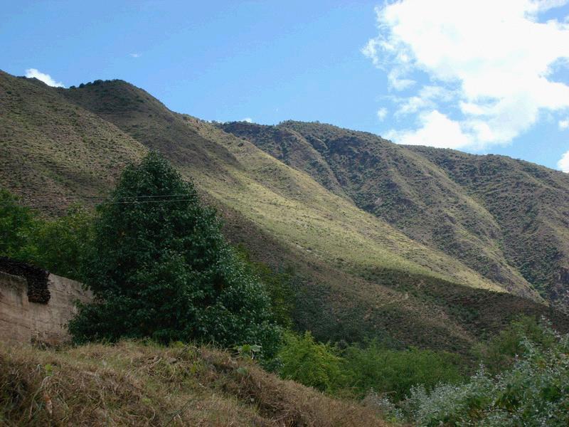 阿布村 阿布村