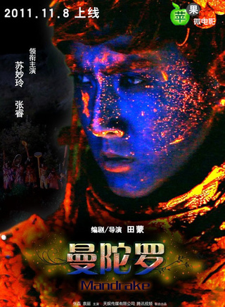 張睿(張航睿) 張睿(張航睿)
