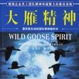 大雁精神 大雁精神