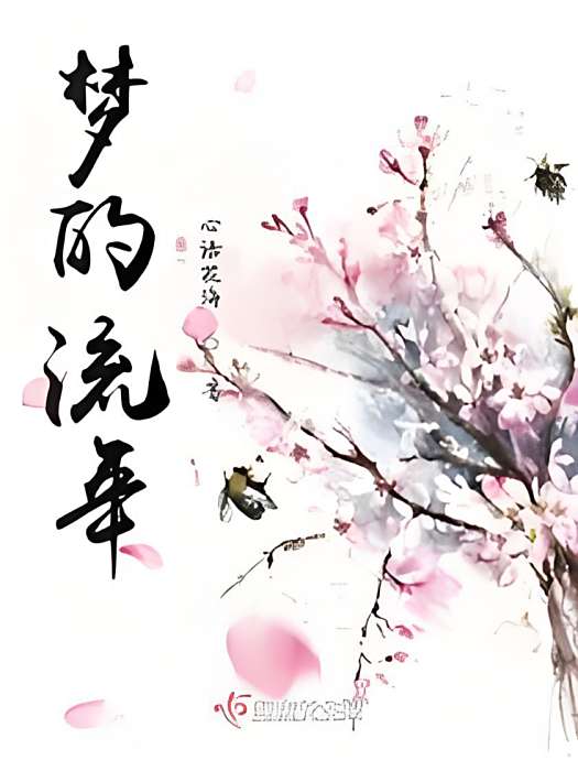 夢的流年 夢的流年
