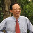 王曉暉(中山大學教授)