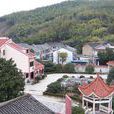大岙村(浙江永嘉縣大岙鄉下轄村) 大岙村(浙江永嘉縣大岙鄉下轄村)