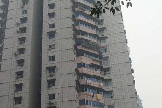 聚興村 聚興村