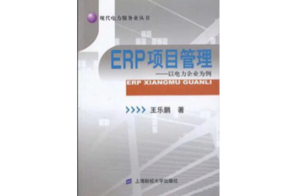 ERP項目管理