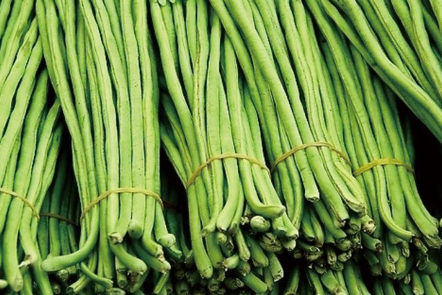 華容青豆角 華容青豆角