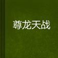 尊龍天戰 尊龍天戰