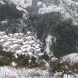 下村汏
