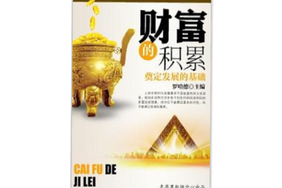財富的積累 財富的積累