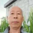 趙子龍(2024年河南鄲城違法犯罪嫌疑人)