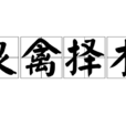 良禽擇木 良禽擇木