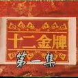 十二金牌(岳華主演電視劇)