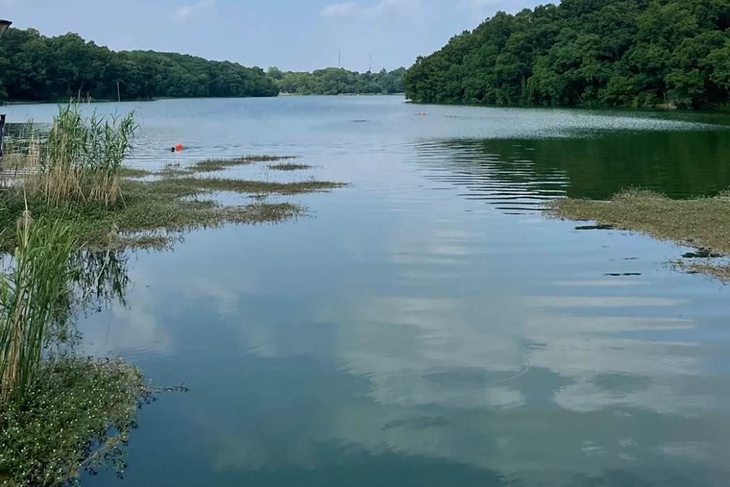 大堰水庫(淮河支溝大堰河上的小(1)型水庫)