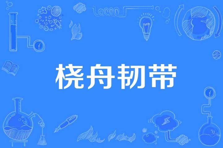 橈舟韌帶 橈舟韌帶