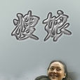 嫂娘(宋佳主演電視劇) 嫂娘(宋佳主演電視劇)