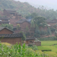 上吉樂村(雲南省宜良縣竹山鄉上吉樂村) 上吉樂村(雲南省宜良縣竹山鄉上吉樂村)