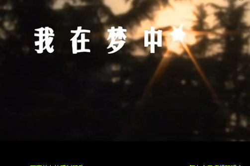 我在夢中 我在夢中