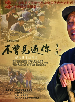 丁柳元 丁柳元