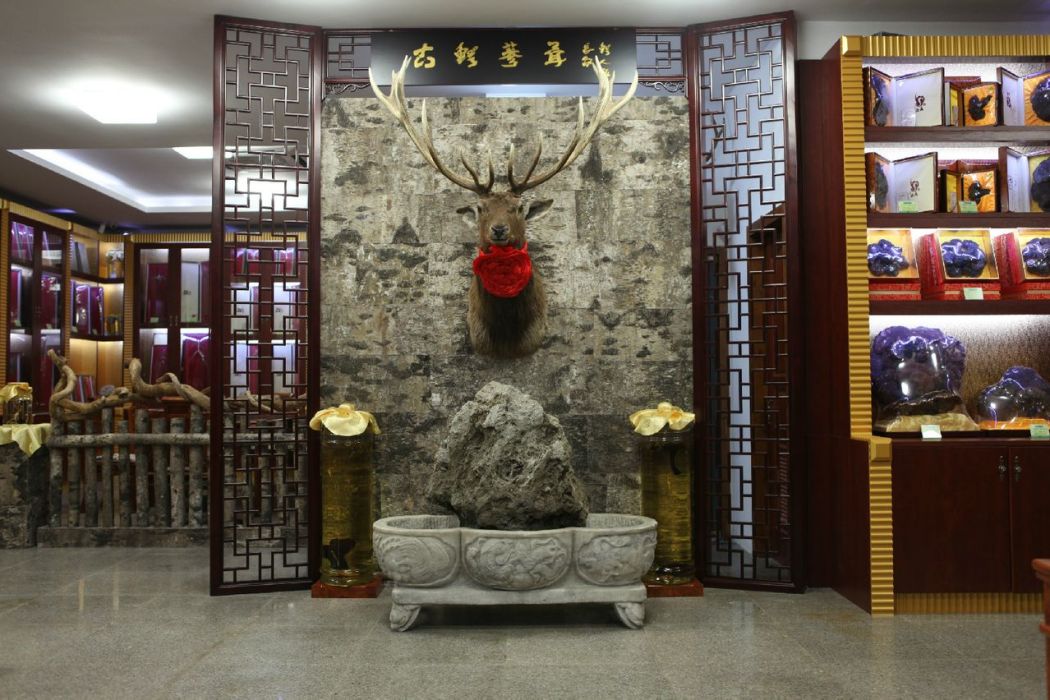 古鱷參茸 古鱷參茸