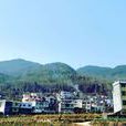 心齊村 心齊村