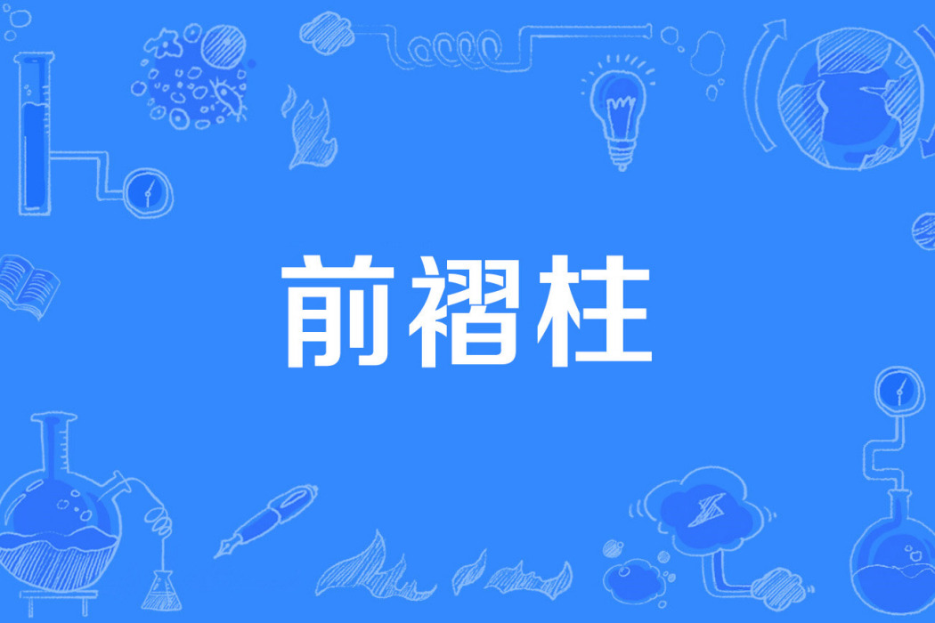 前褶柱 前褶柱