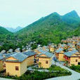 菇類村 菇類村