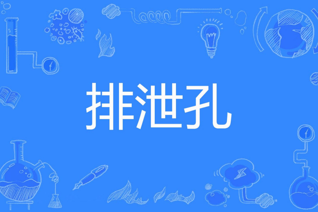 排泄孔 排泄孔