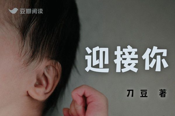 迎接你(豆瓣閱讀作者刀豆daodou所作女性小說) 迎接你(豆瓣閱讀作者刀豆daodou所作女性小說)