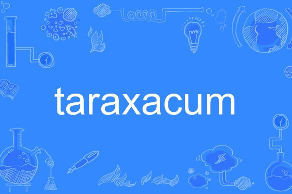 taraxacum taraxacum