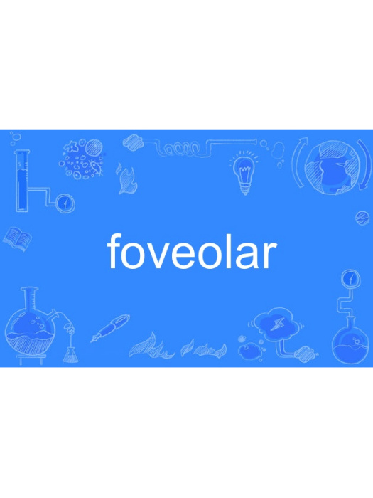 foveolar foveolar