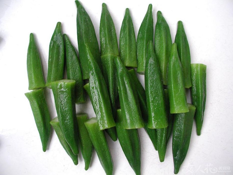 蘇秋葵3號 蘇秋葵3號