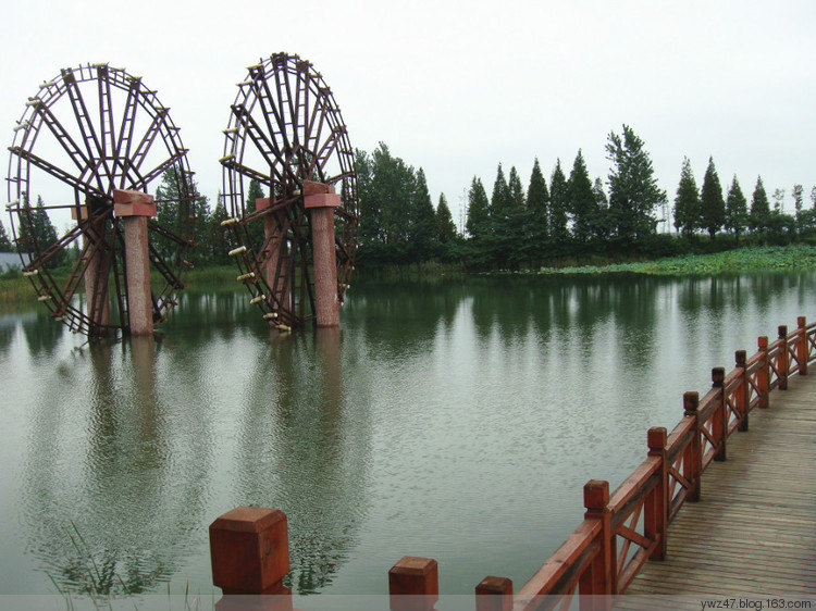 泗洪洪澤湖濕地公園