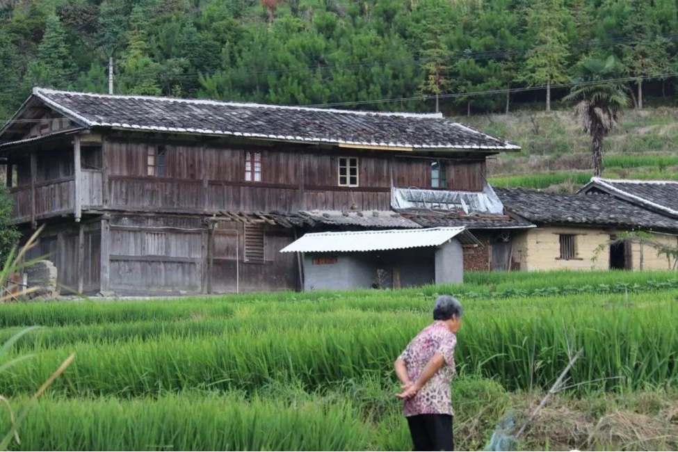 張荊村 張荊村