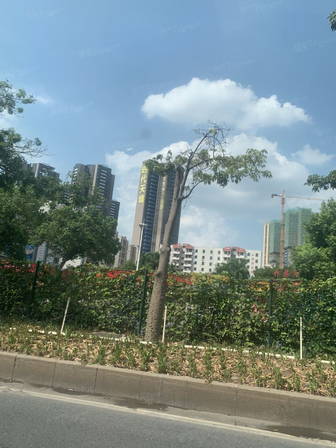 時代天境 時代天境