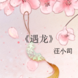 遇龍(汪小司的小說) 遇龍(汪小司的小說)